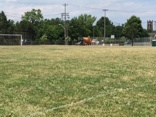 CLE HTHK Project 1 | Project EverGreen