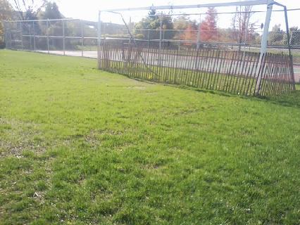 HTHK CLE Project Fall Grass Grows October 2014 | Project EverGreen