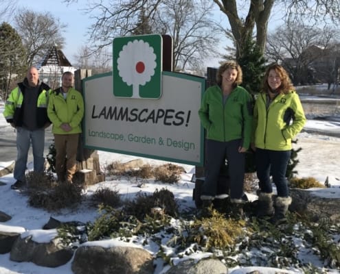 Project EverGreen - LAMMSCAPES!