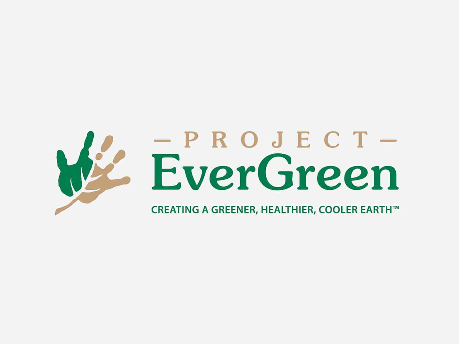 Project EverGreen - Product design