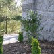 Project EverGreen - Green Hill Cemetery