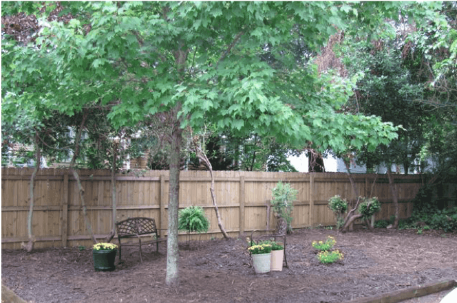 Project EverGreen - Fence