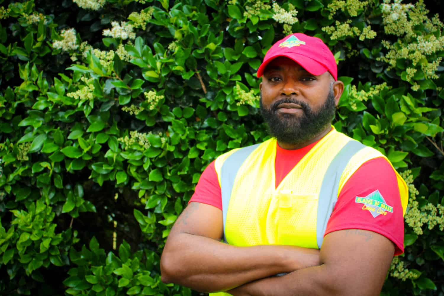 Blades of Grass Lawn Care Project Evergreen