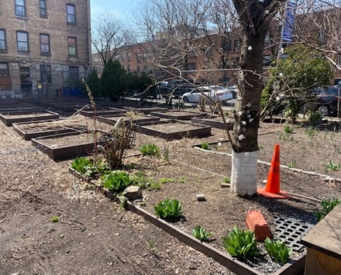 New York City - Wishing Well Community Garden - 2021 | Project EverGreen Wishing Well Community Garden NYC - Project EverGreen