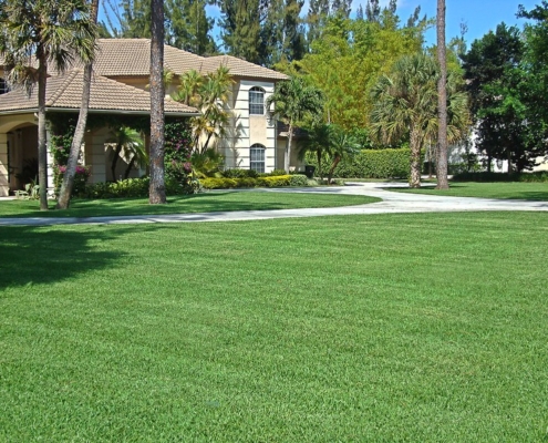 House with expansive green grass front lawn - Project EverGreen