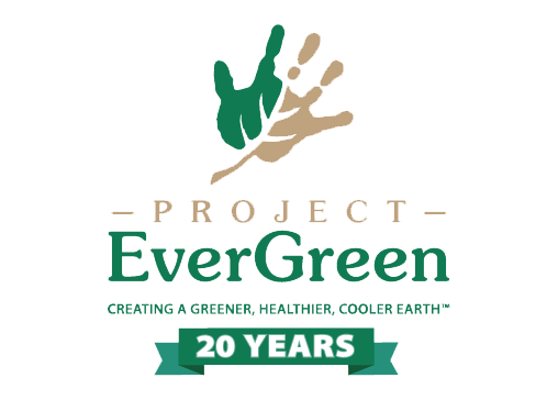 logo | Project EverGreen