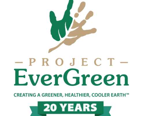 Project EverGreen -Project EverGfreen
