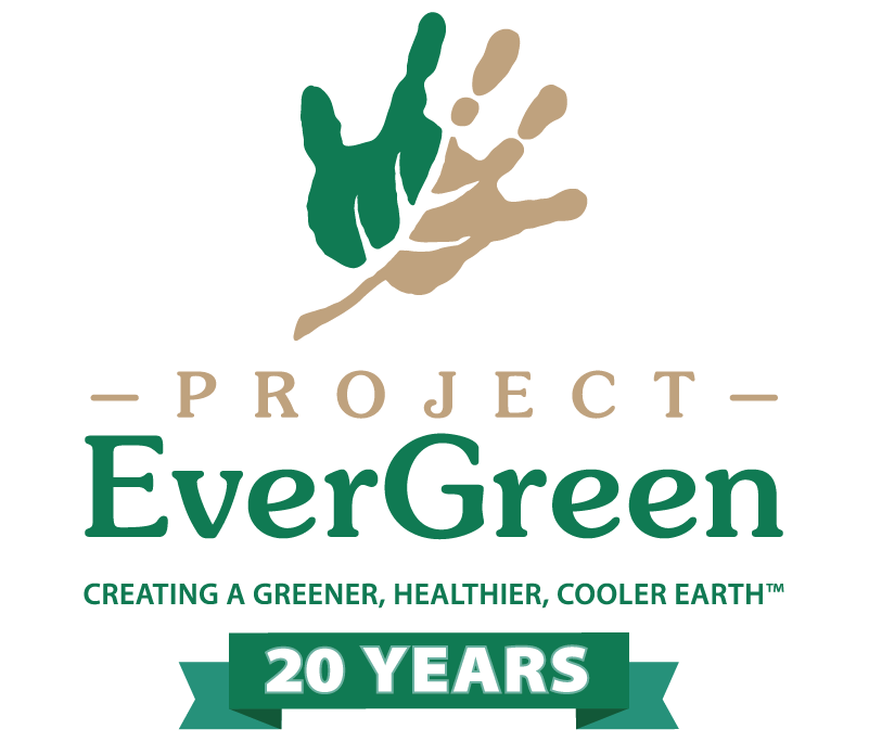 Project EverGreen -Project EverGfreen