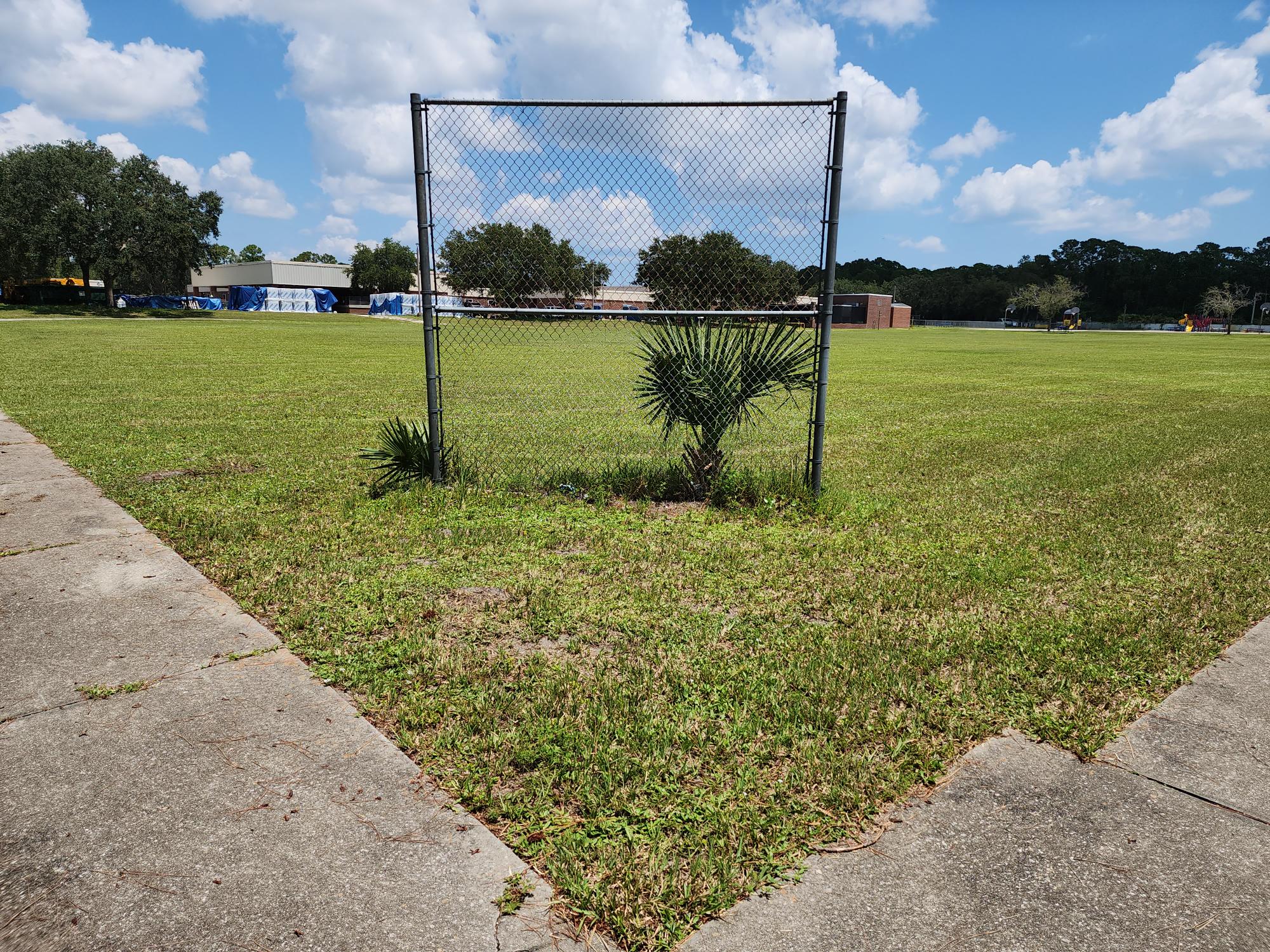 Palm Terrace School backstop 1 | Project EverGreen