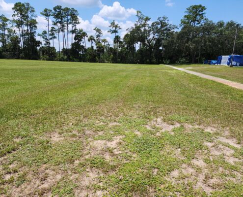 Palm Terrace School outfield turf | Project EverGreen