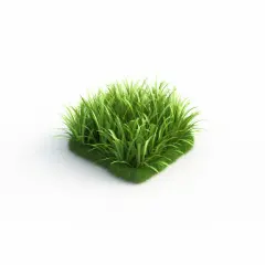 illustration of grass on white background for clean air calculator