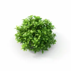 plants illustration on white background for clean air calculator