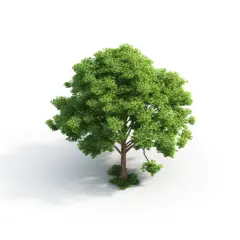 tree image on white background for clean air calculator
