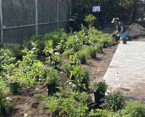 Pollinator garden JH 2 | Project EverGreen