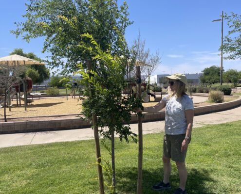 Barrios Unidos Park - Project EverGreen