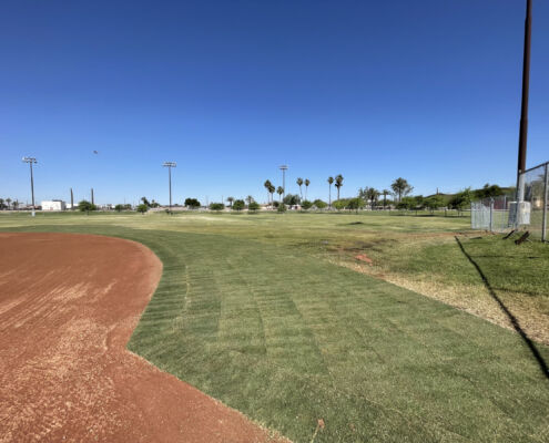 Barrios Unidos Park - Project EverGreen