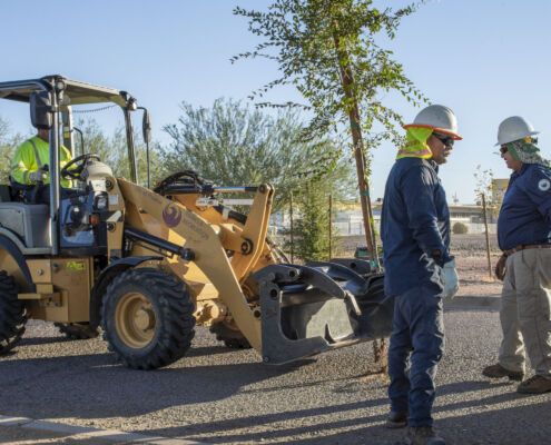 Phoenix's Barrios Unidos Park - Project EverGreen