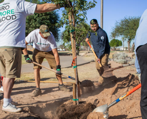 Phoenix's Barrios Unidos Park - Project EverGreen