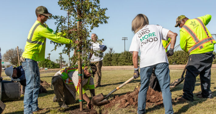 Phoenix's Barrios Unidos Park - Project EverGreen