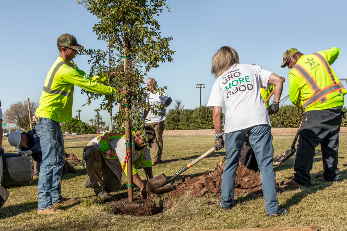 Phoenix's Barrios Unidos Park - Project EverGreen