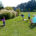 Green Yards - Project EverGreen
