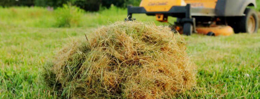 Carbon and clippings - Project EverGreen