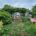 Corona Peach Tree Community Garden - Project EverGreen