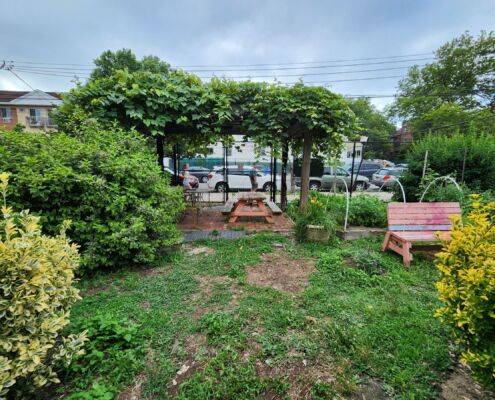 Corona Peach Tree Community Garden - New York City - 2025 | Project EverGreen Corona Peach Tree Garden - Project EverGreen
