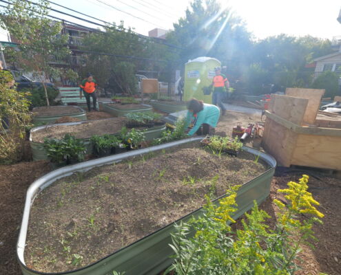 P1307688 | Project EverGreen