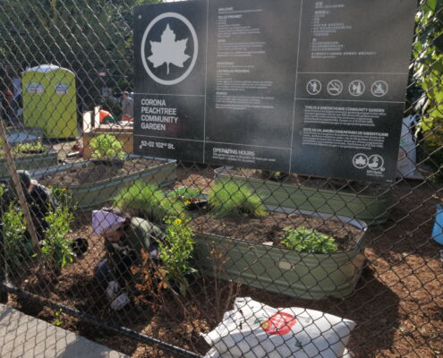 P1307777 | Project EverGreen