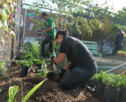 P1307823 | Project EverGreen