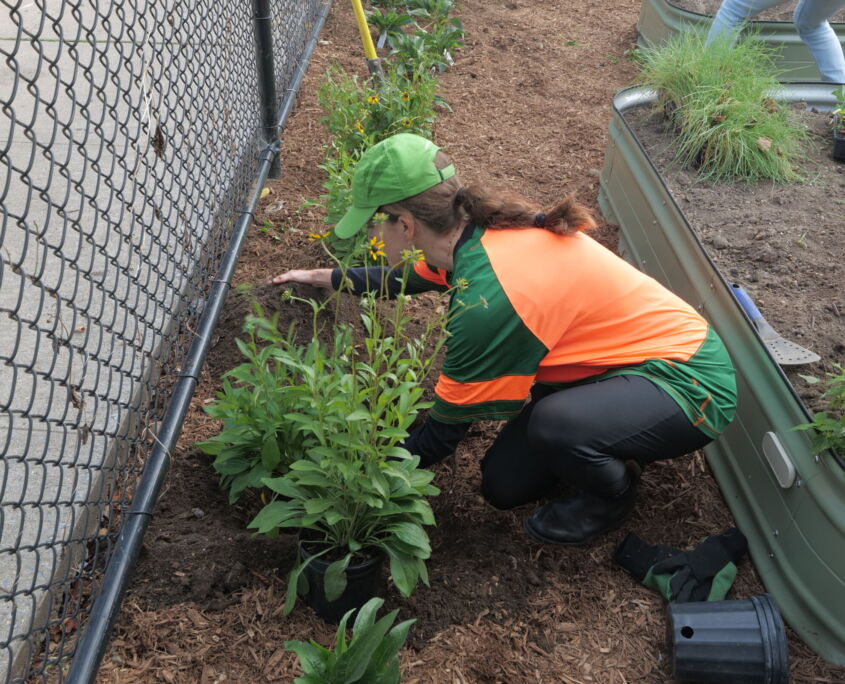 Corona Peach Tree Community Garden - Project EverGreen
