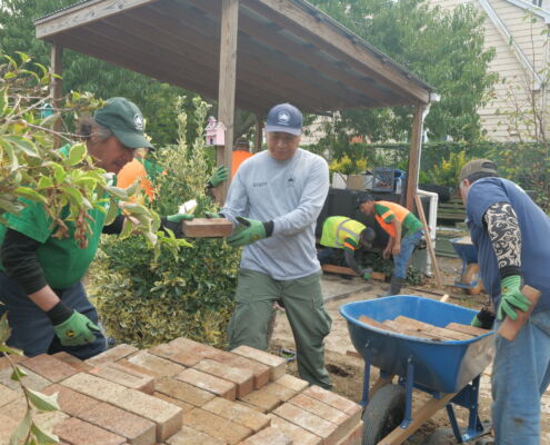 P1307925 | Project EverGreen