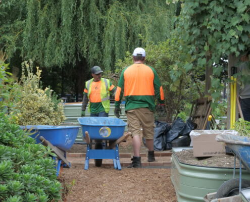 P1308068 | Project EverGreen