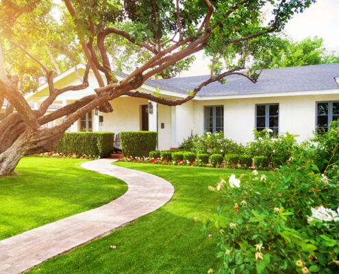 Energy efficiency - Project EverGreen