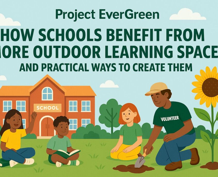 Outdoor Learning Spaces: How Schools Benefit and Practical Ways to Create Them | Project EverGreen Outdoor Learning Spaces - Project EverGreen