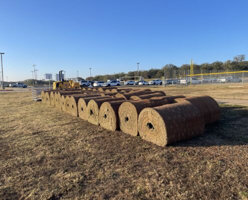 IMG 3510 | Project EverGreen