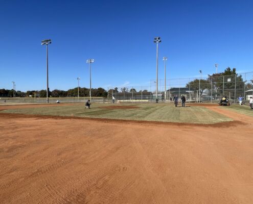 Texas Baseball Field - Project EverGreen