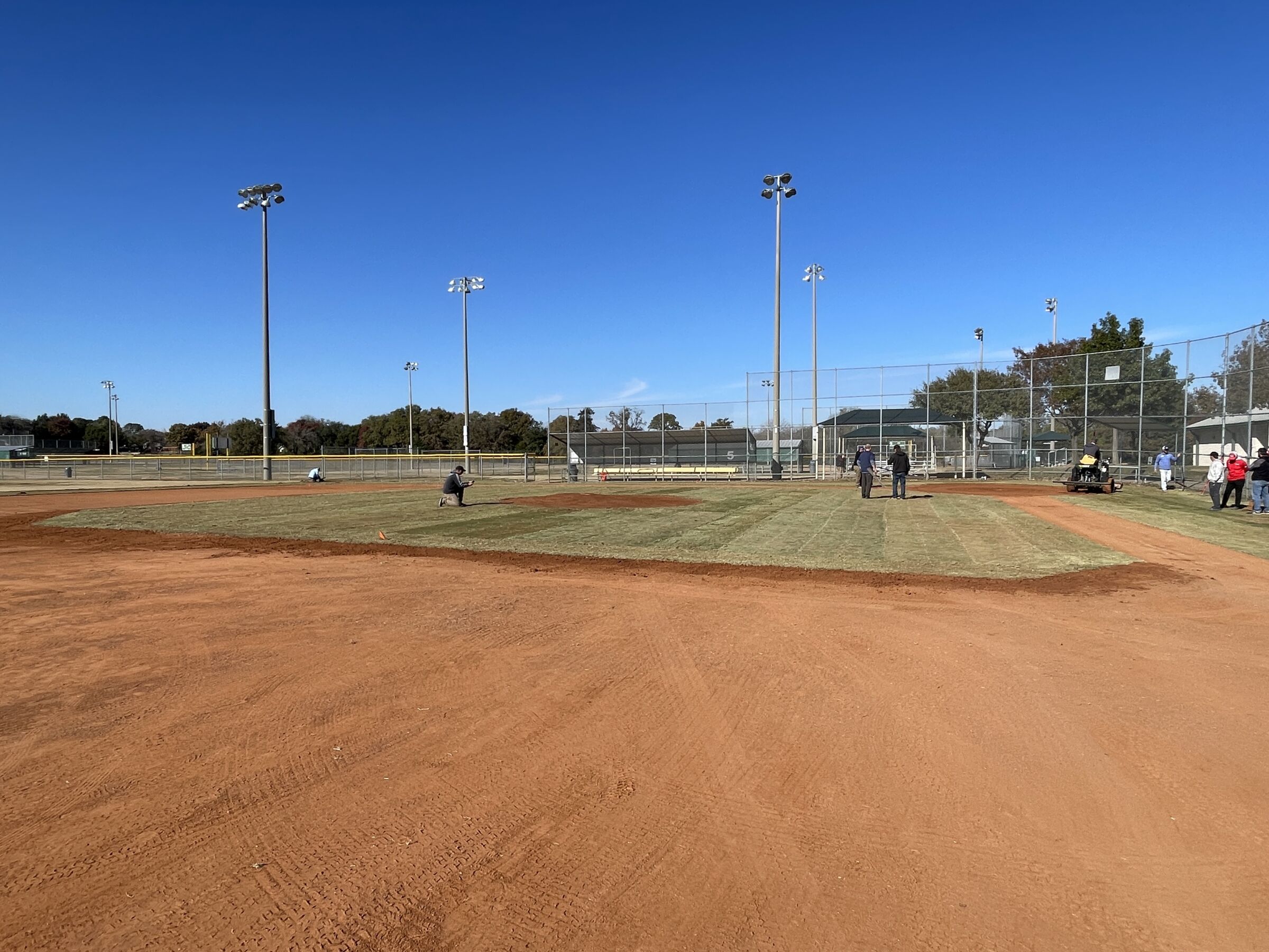 IMG 3567 | Project EverGreen