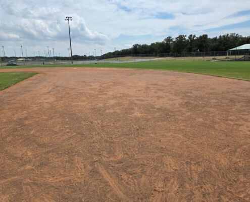 PE Dallas SFMA project 3 1 | Project EverGreen