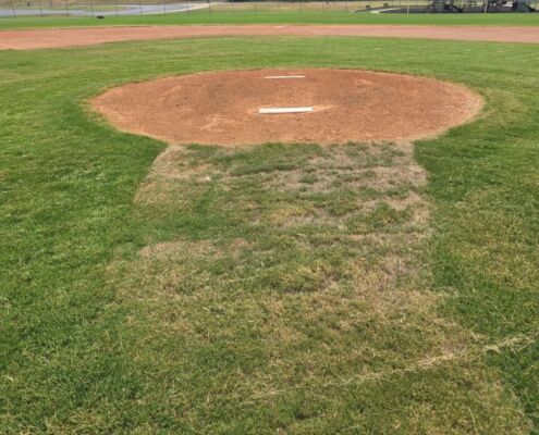 PE Dallas SFMA project 4 1 | Project EverGreen