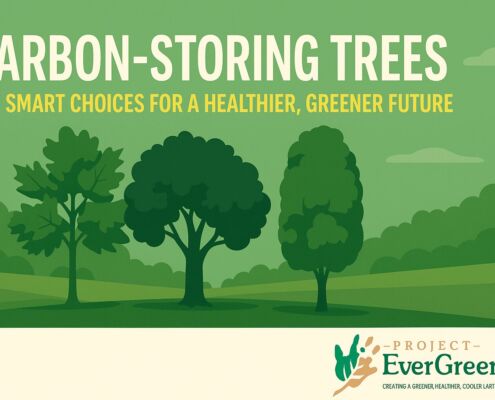 Carbon-Storing - Project EverGreen