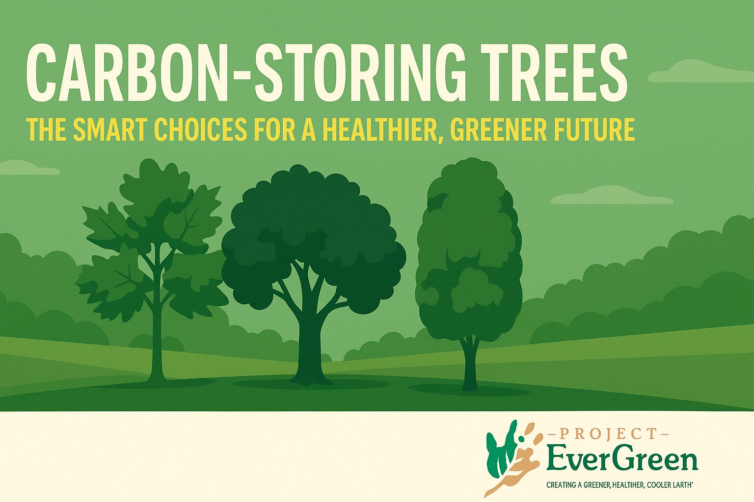 Carbon-Storing Trees: The Smart Choices for a Healthier, Greener Future | Project EverGreen Carbon-Storing - Project EverGreen