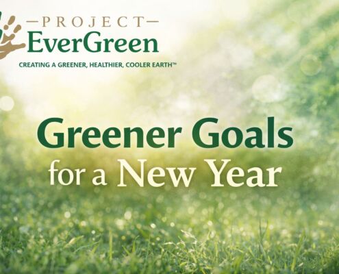Greener Goals for a New Year | Project EverGreen Greener goals - Project EverGreen