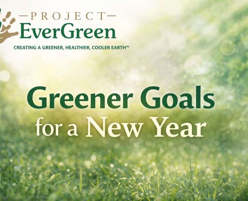 Greener goals - Project EverGreen