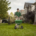 Volunteer-Powered - Project EverGreen