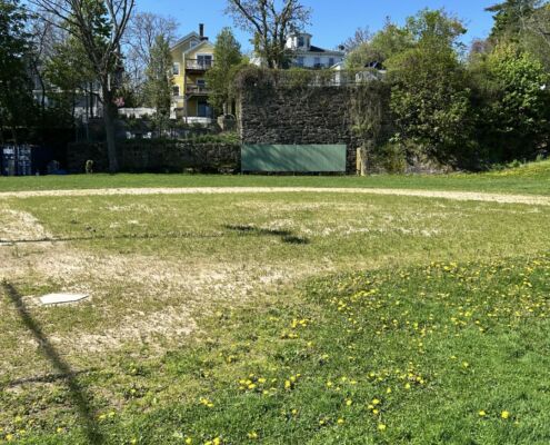 Yawkey Club of Roxbury - Boston - 2026 | Project EverGreen Yawkey Club of Roxbury - Project EverGreen