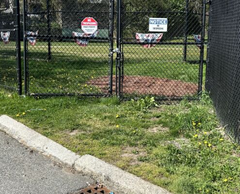 Yawkey Club of Roxbury - Project EverGreen