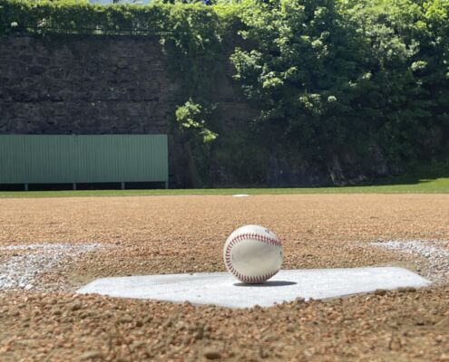 IMG 4348 1 | Project EverGreen