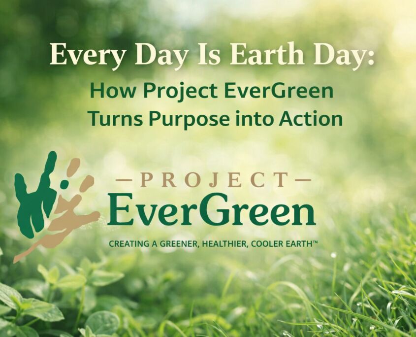 Every Day Is Earth Day: How Project EverGreen Turns Purpose into Action | Project EverGreen Every Day Is Earth Day -Project EverGreen